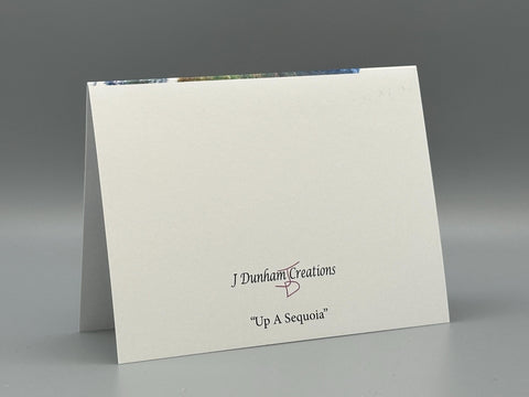 Up a Sequoia Greeting Card Set | Nature Photography Cards | Set of 5 Blank Cards