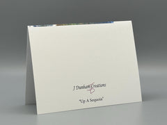 Up a Sequoia Greeting Card Set | Nature Photography Cards | Set of 5 Blank Cards
