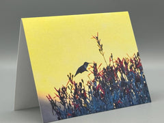 Desert Nectar Greeting Card Set | Hummingbird Art Photography | Southwest Nature Cards | Set of 5 Blank Cards