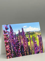 Pacific Northwest Wildflower Greeting Cards