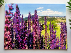 Pacific Northwest Wildflower Greeting Cards