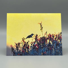 Desert Nectar Greeting Card Set | Hummingbird Art Photography | Southwest Nature Cards | Set of 5 Blank Cards