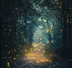 Magical Fireflies- Forest Sunset