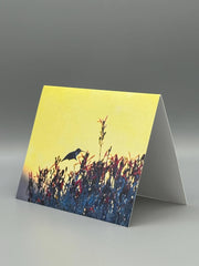 Desert Nectar Greeting Card Set | Hummingbird Art Photography | Southwest Nature Cards | Set of 5 Blank Cards