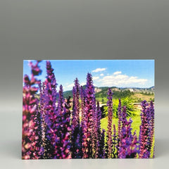 Pacific Northwest Wildflower Greeting Cards