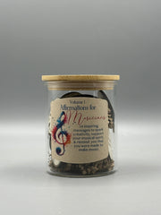 Affirmations for Musicians Vol. 1 | Inspirational Gift Jar with 14 Wooden Encouragement Tokens for Creativity & Confidence