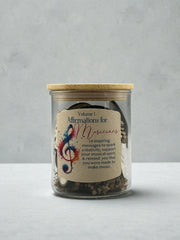 Affirmations for Musicians Vol. 1 | Inspirational Gift Jar with 14 Wooden Encouragement Tokens for Creativity & Confidence