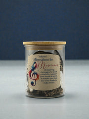Affirmations for Musicians Vol. 1 | Inspirational Gift Jar with 14 Wooden Encouragement Tokens for Creativity & Confidence