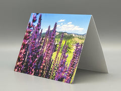 Pacific Northwest Wildflower Greeting Cards