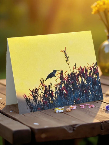 Desert Nectar Greeting Card Set | Hummingbird Art Photography | Southwest Nature Cards | Set of 5 Blank Cards