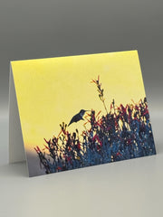 Desert Nectar Greeting Card Set | Hummingbird Art Photography | Southwest Nature Cards | Set of 5 Blank Cards