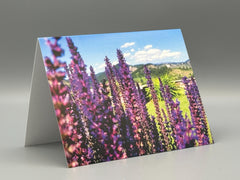 Pacific Northwest Wildflower Greeting Cards