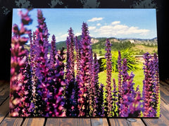 Pacific Northwest Wildflower Greeting Cards